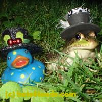 /home//u458753944/public_html/sourcegallery//Frogs/More bullfrogs/P6180707.JPG
